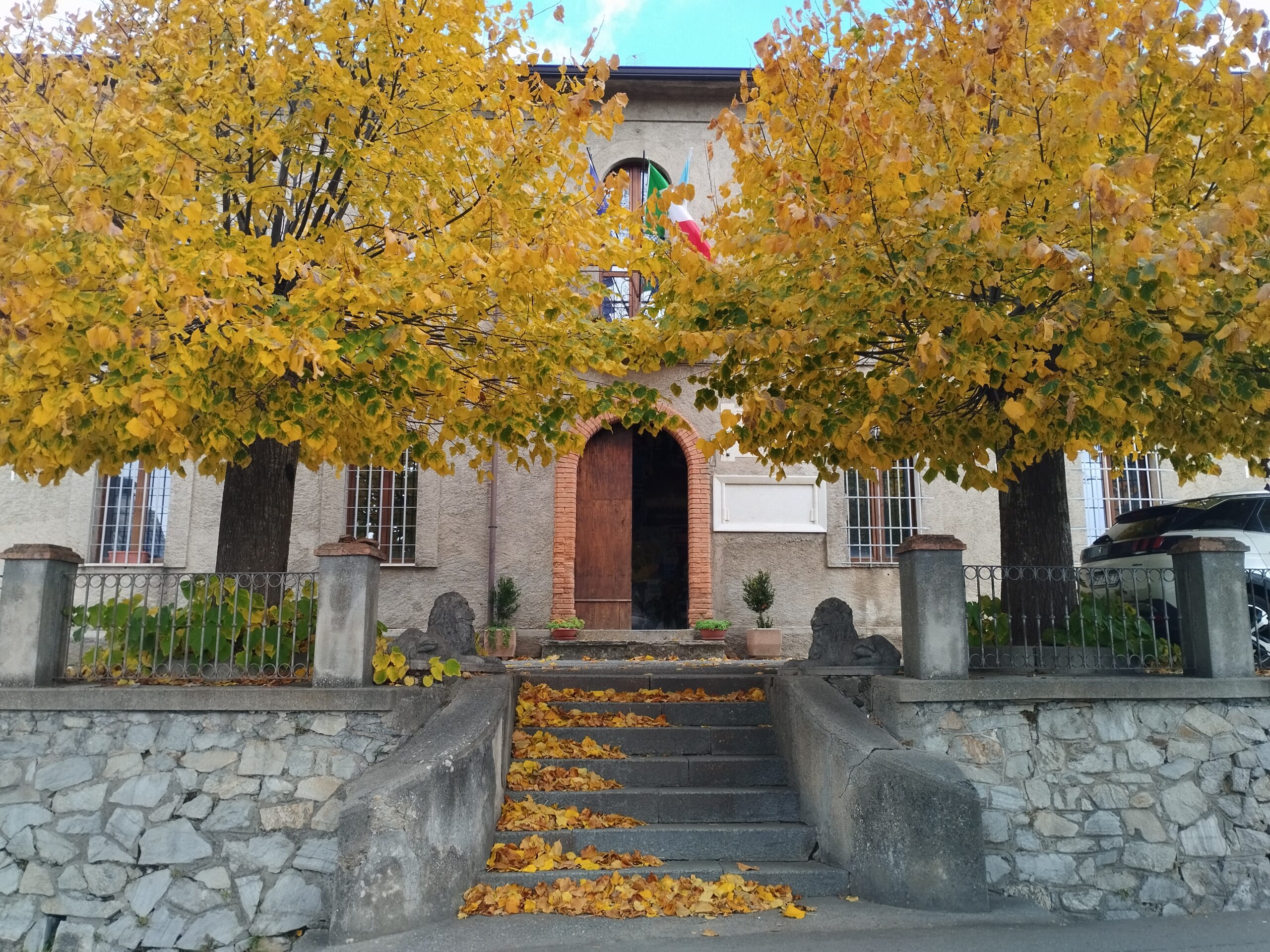 Immagine anteprima
